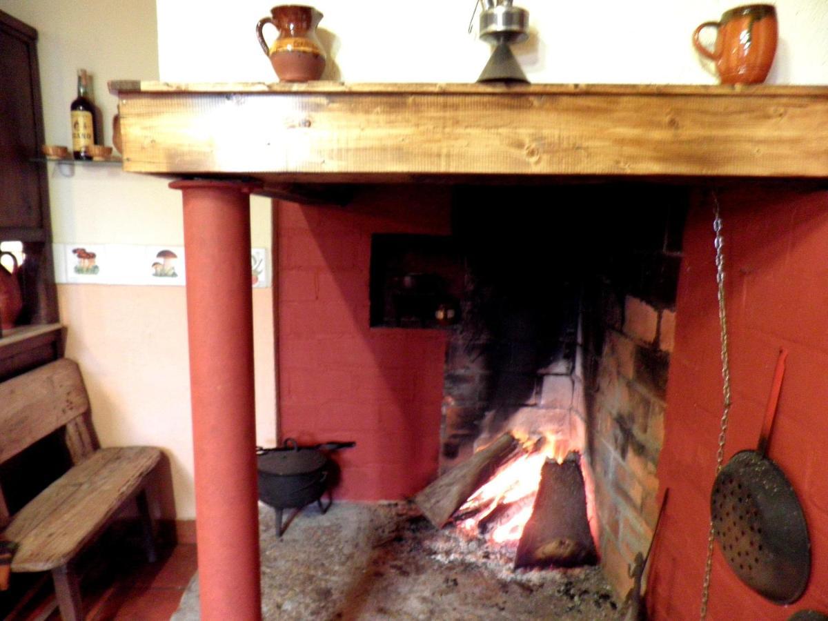Casa De Pineiro Y Spa Opcional, De Pago Saint-Jacques-de-Compostelle Extérieur photo